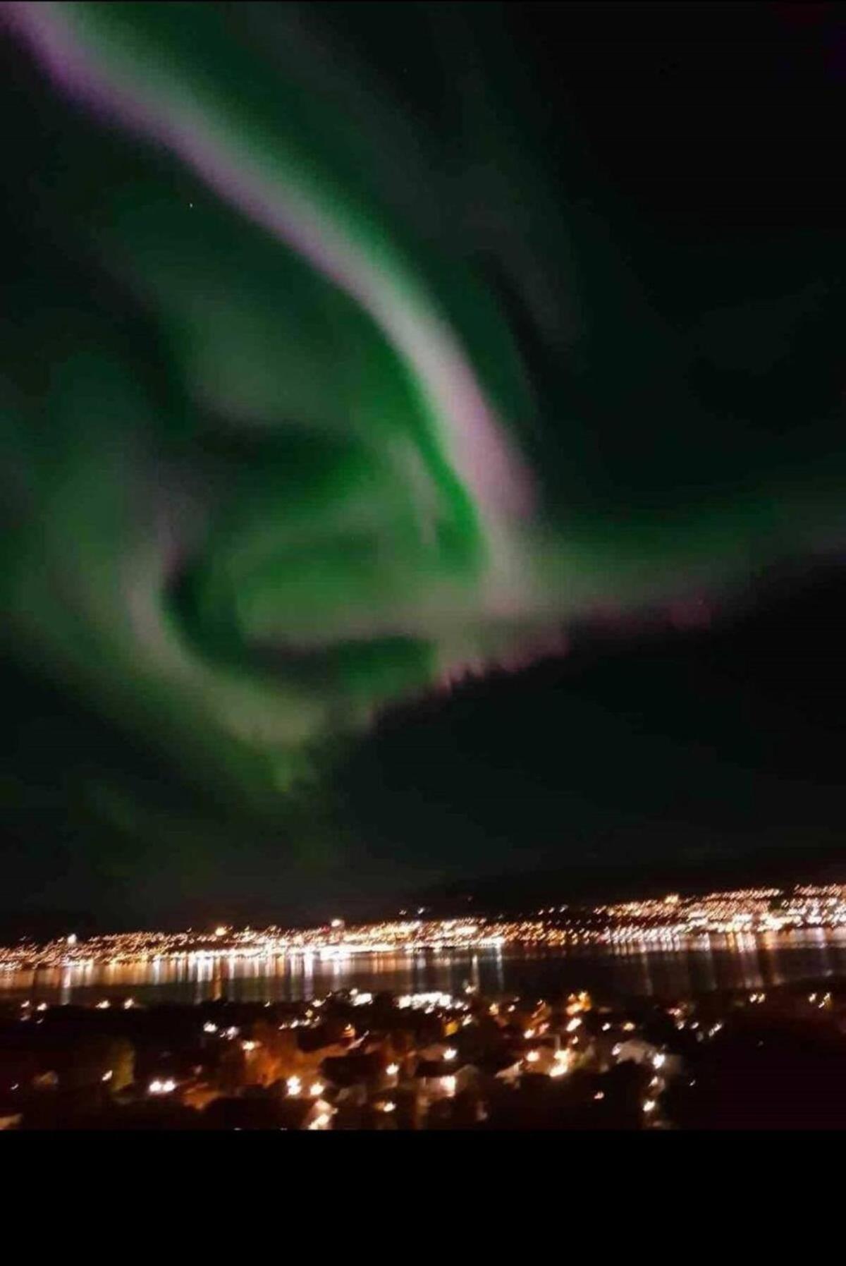 Miracle Tromso, Cozy Double Bed Private Room In A Shared Apartment With Stunning Tromso Views Esterno foto